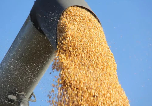 RGT-CONEXXION-DUO-mais-grain
