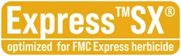 logo_ragt_solution_express_sx